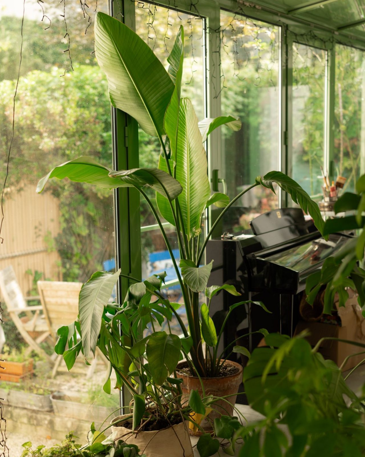 Plantes vertes dans la véranda de CASA, l’atelier, avec un piano et le jardin derrière les vitres